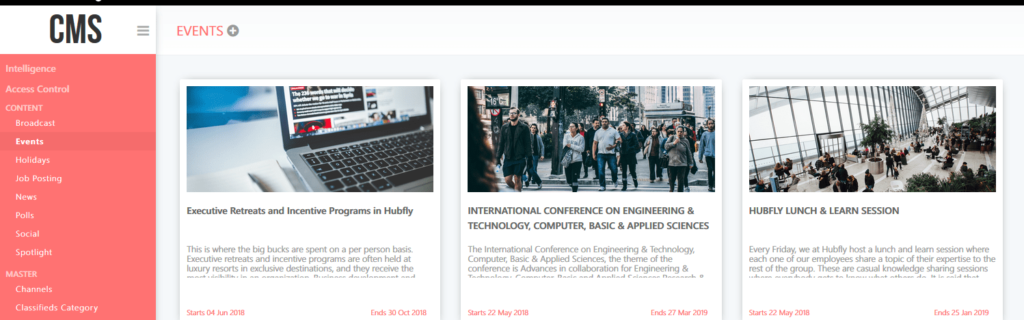 Hubfly CMS