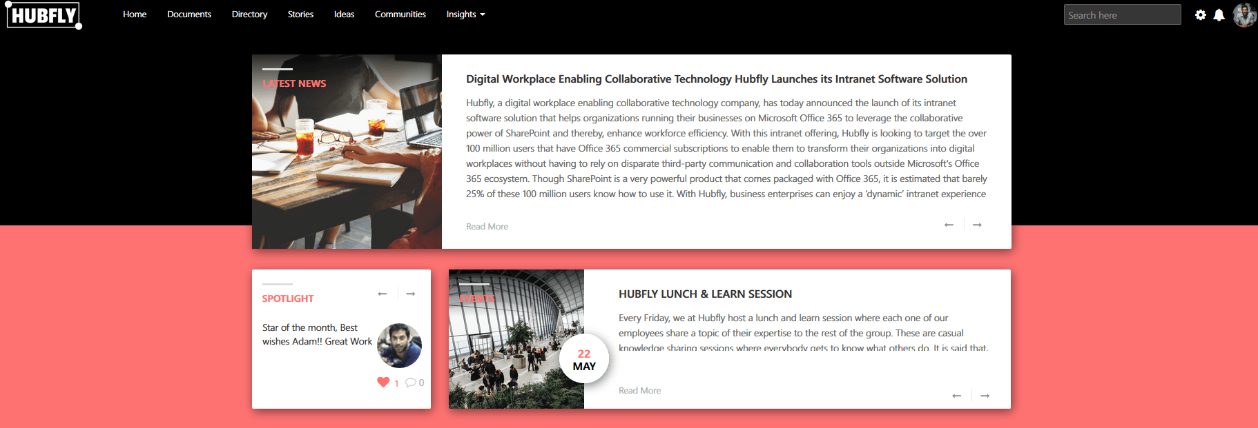 Hubfly